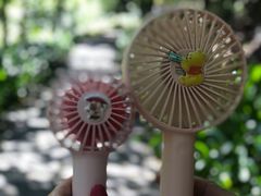 -广州白江湖森林公园