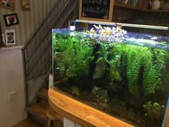 -Rabbit Cafe私房西餐甜点咖啡(栖霞路店)