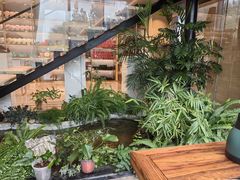 -绿雪芽白茶(浙大华家池校区凯旋路店)