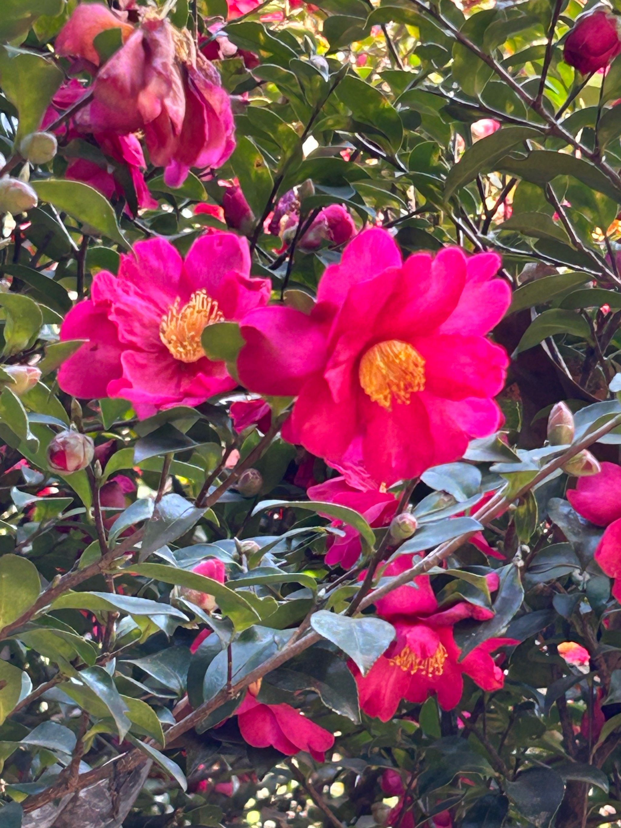 花花世界迷人眼