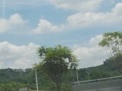 -观澜山水田园