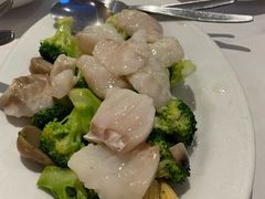 -食为先(Shark Fin)