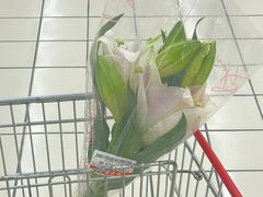 -大润发(梅兰东路店)
