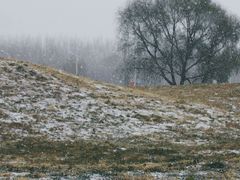 -吉林大学前卫校区南区-日新楼