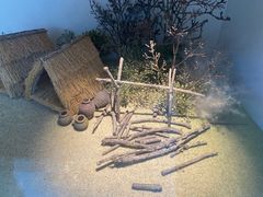 -同里国家湿地公园