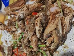 -千岛湖小鱼儿·淳安匠心农家菜