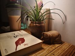-No Cat 手碟