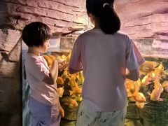 -嘉兴海底世界
