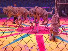 -西安秦岭野生动物园