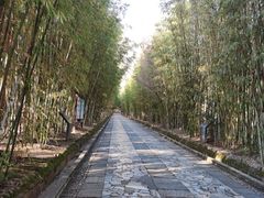 -蝴蝶泉公园