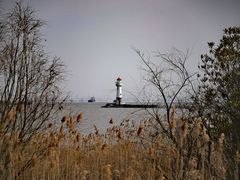 -上海吴淞炮台湾国家湿地公园