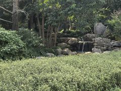 -活水公园