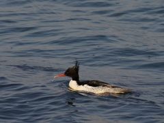 -品味居·首店·大连鲜活海鲜大连菜(东港店)