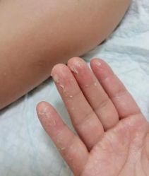 -宝妈港湾催乳通乳产后恢复(新苑店)