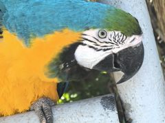 -西霞口神雕山野生动物世界