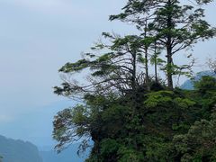 -峨眉山风景名胜区