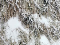 -峨嵋山金顶