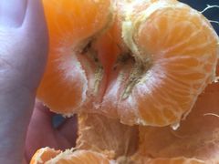 -果蔬好生活超市(乐堤港店)