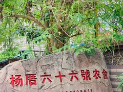-杨厝六十六农庄农舍(杨厝路店)