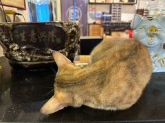 -湛江江记蚝莊烧烤工场(金海岸店)