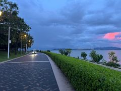 -深圳湾公园(南山区)