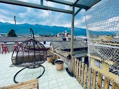 -喵屿·大理花园猫咖