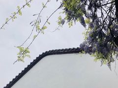 -郫都区农科村景区