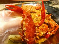 蒜香小龙虾-红钳侠小龙虾·烧烤(中赢康康谷店)