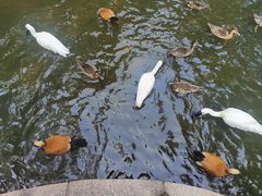 -大连老虎滩海洋公园