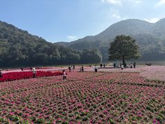 -广州市石门国家森林公园