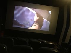 -国文影城(上海闸北店)