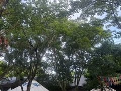 -巴山一绝烤全羊(三圣乡刘家花园店)