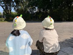 -福建鲤鱼洲酒店