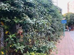 -闽南师范大学(江滨校区)