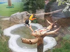 -济南野生动物世界