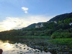 -广州凤凰城酒店-维也纳西餐厅