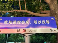 -桃源人家(环城南路店)