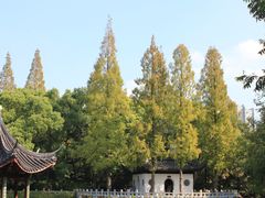 -汇龙潭