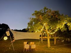 -福建鲤鱼洲酒店