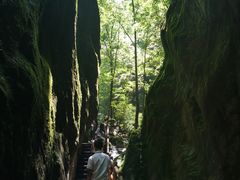 -牛背梁国家森林公园