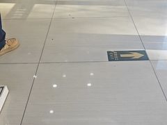 -全心全意连锁动物医院·微创中心·内科急重症·心脏专科(丰管路店)