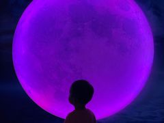 -天津梵高星空艺术馆(天河城旗舰店)
