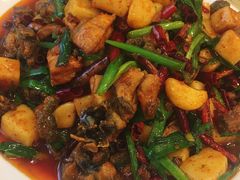 饵块鸡-红豆园(文林街店)