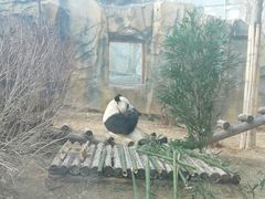 -青藏高原野生动物园