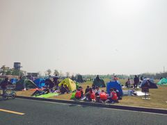 -春花秋色城市公园