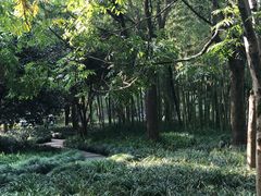 -九墅庭院餐厅(九溪徐村店)