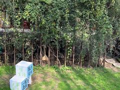 -林间山庄