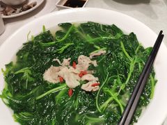 -鹅城