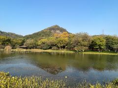 -八卦田遗址公园