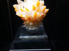-中华赏石园